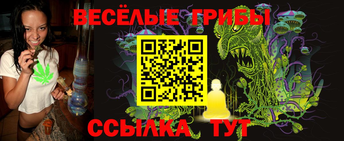 Россия  Галлюциногенные грибы GOLDEN TEACHER  Вход с VPN 